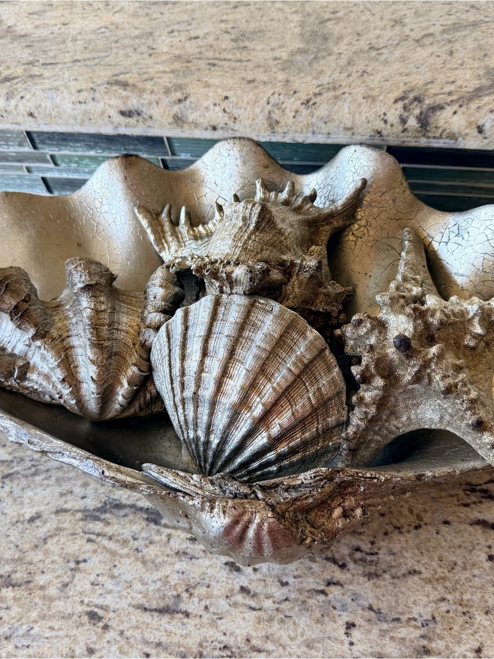 Regina Andrew Clam Shell Medium with Small Shells 20-1003 - Picture 2 of 2